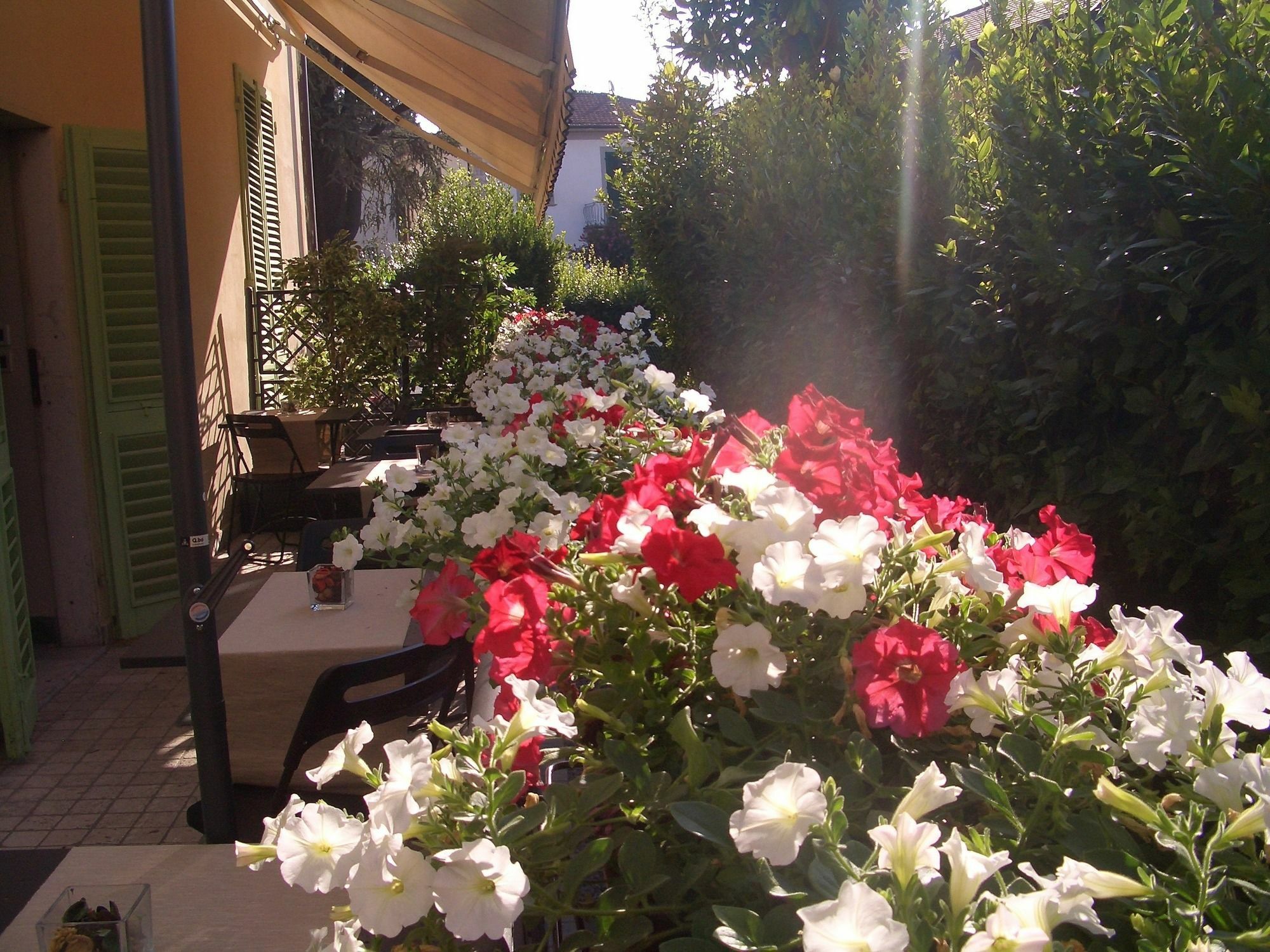 Lucca Relais Bed & Breakfast Exterior foto